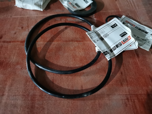 Workover API XJ750 εξάρτηση επισκευής κυλίνδρων οδήγησης μερών HNBR εγκαταστάσεων γεώτρησης